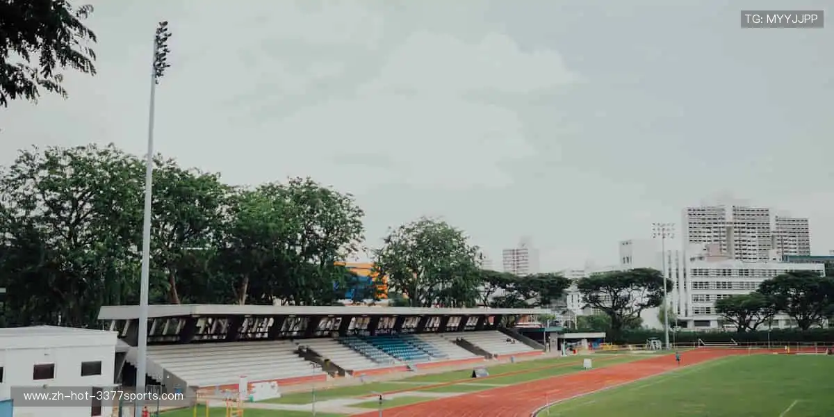⚽全球赛事，指尖掌控每分精彩！
